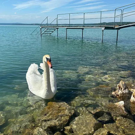 Világos Balatonvilágos